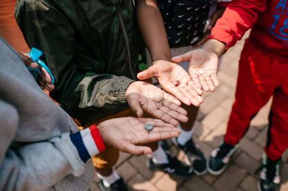 Four hands of young students each holding a rock in their palm.
